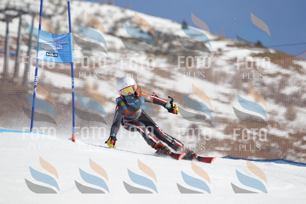 _U3G8579 | holidayphoto