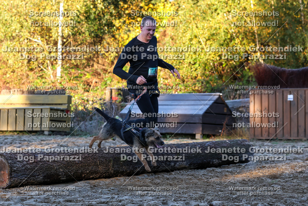 Dog Paparazzi - Strongdog 10-25-605 | Dog Paparazzi Jeanette Grottendiek Fotografie & Videografie - Realisiert mit Pictrs.com