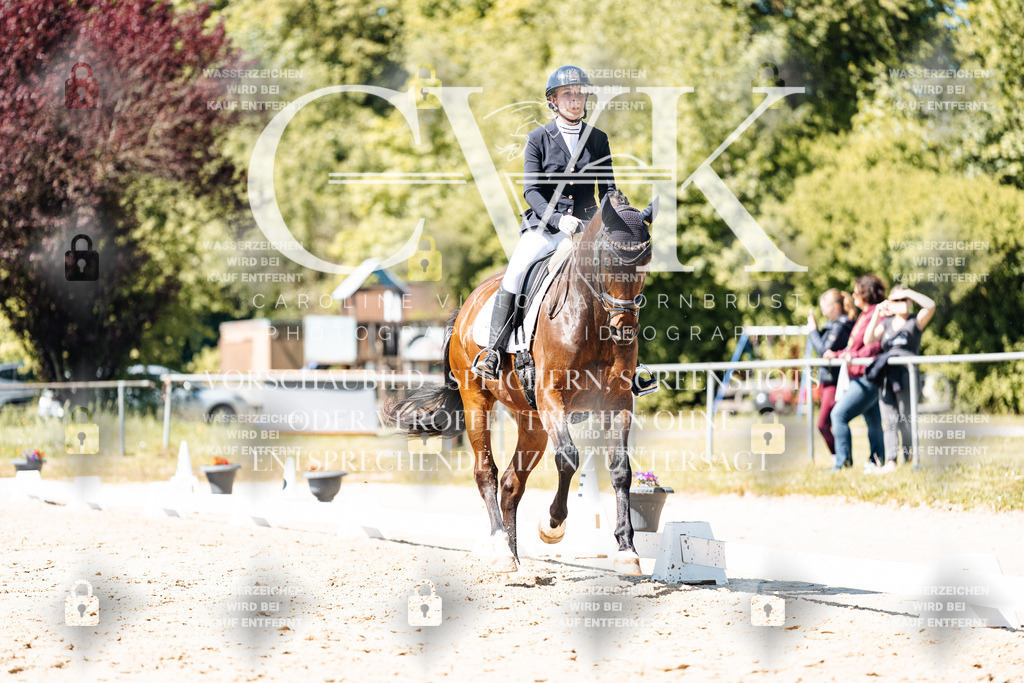 CK905691 | Turnierfotografie Pferdefotografie Trier Rheinland-Pfalz Pferdesport Reitsport Tierfotografie Sportfotografie Pferdevideo Pferdevideografie Equestrianvideography equestrianphotography  - Realisiert mit Pictrs.com