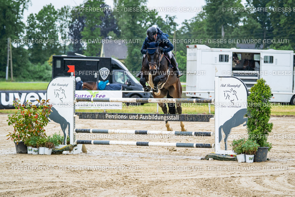 DSC03405 | Pferdegrafie