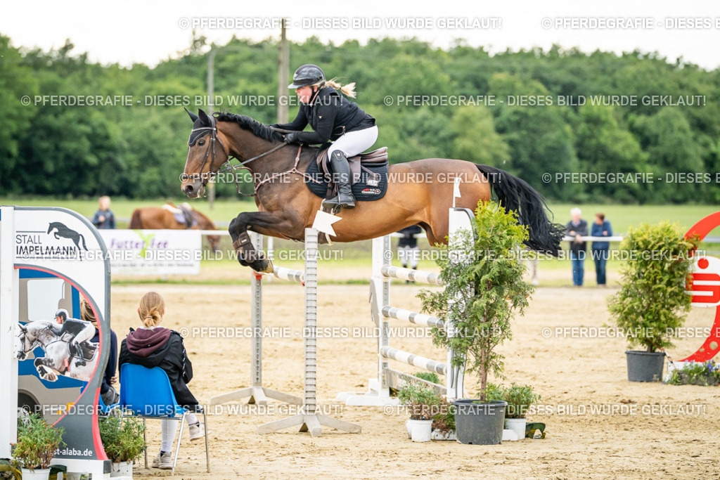 DSC07007 | Pferdegrafie