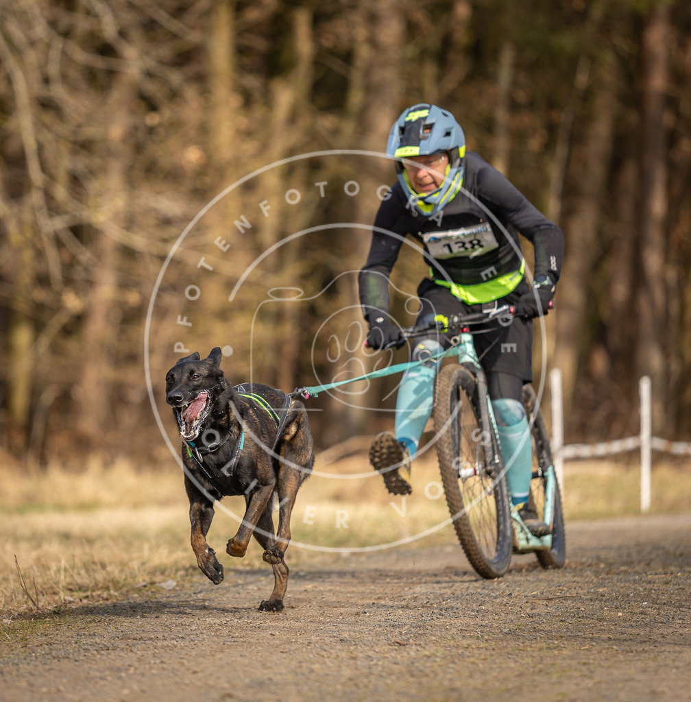 DV3A4714 | Hundefotografie, Tierfotograf, Pfotenfotografie, Fotoshooting Hund, Hunde Portrait, Hundesport, Hundeportraits, Heideshooting, Hunde, Sportfotograf, Hundefotograf, Turnierhundsport, THS,  - Realisiert mit Pictrs.com
