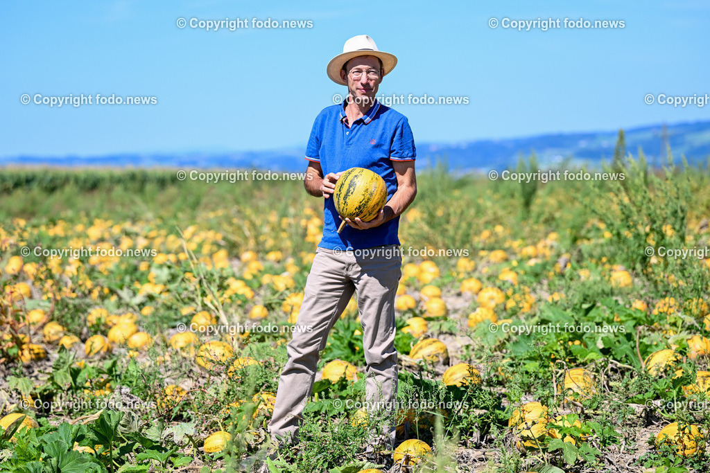 Landwirtschaft_ Gemuesebauer Spiesmayr_ 05.09.2023-6 | 05.09.2023, Wilhering, AUT, Landwirtschaft, Gemuesebauer Spiesmayr in Appersberg, im Bild Klaus Mayr