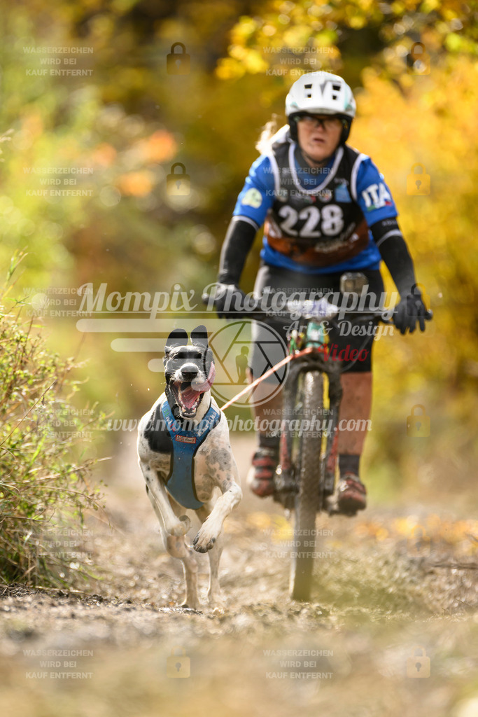 MompixPhotography_ICF_WC_2024_SA_Bike_-391 | PayLife