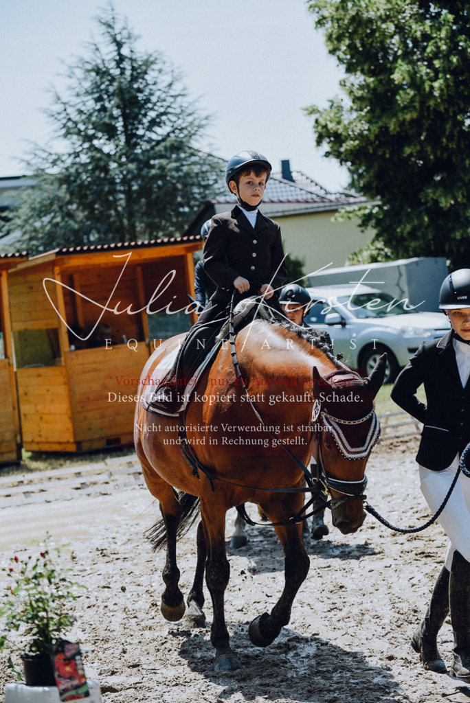DSC_2261 | Pferde- und Turnierfotografie in Westsachsen. Pferdeportraits, Auftragszeichnungen und intuitive Kunst.