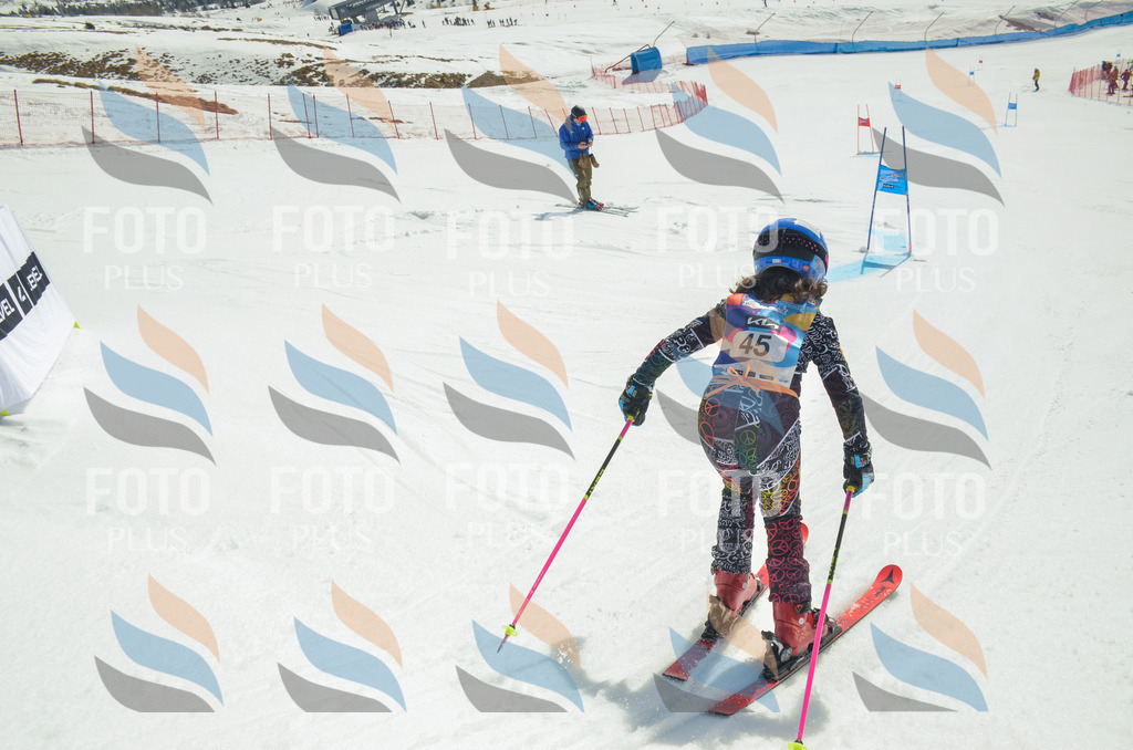 _ELE5115 | holidayphoto