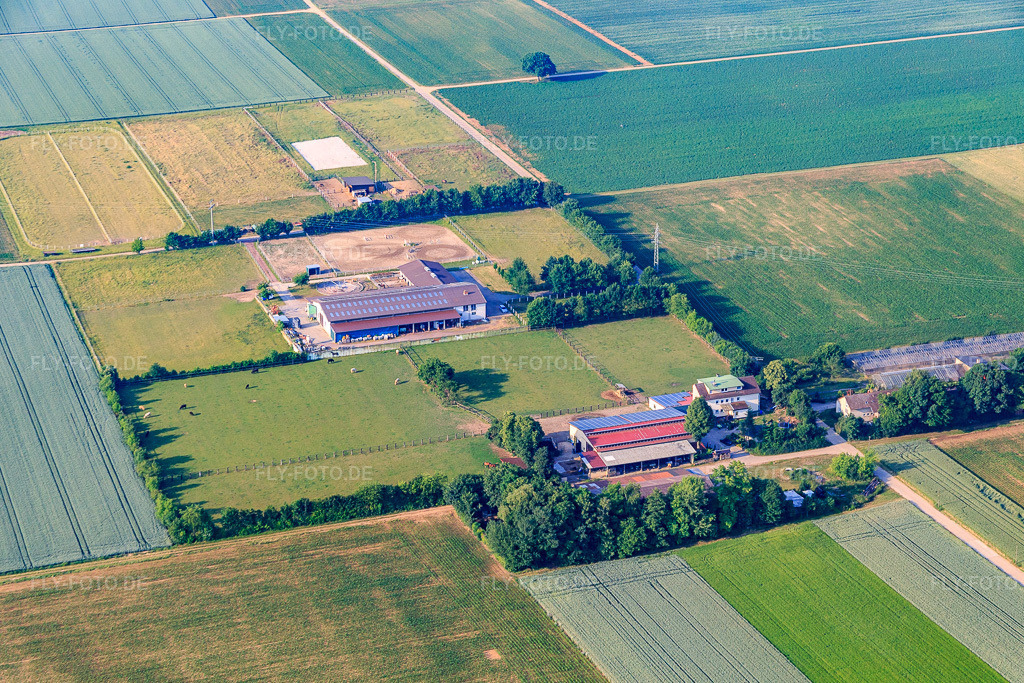 Luftbild: Rosenhof und Eichenhof Seither in Ottersheim bei Landau im Bundesland Rheinland-Pfalz in Deutschland. Foto: IMG_080686.jpg vom 12.06.2015 durch Werner Riehm/FLY-FOTO.de