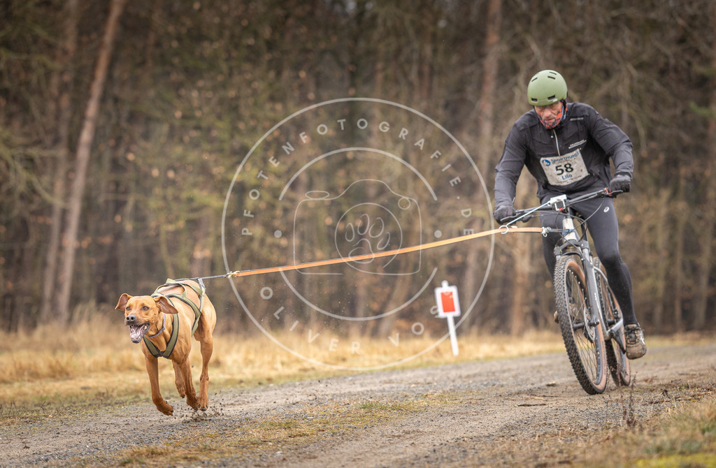 DV3A3258 | Hundefotografie, Tierfotograf, Pfotenfotografie, Fotoshooting Hund, Hunde Portrait, Hundesport, Hundeportraits, Heideshooting, Hunde, Sportfotograf, Hundefotograf, Turnierhundsport, THS,  - Realisiert mit Pictrs.com