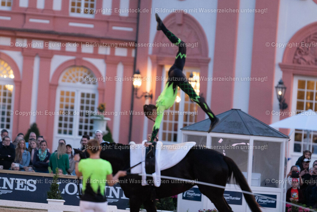 20230527_Voltigieren_NASPA_Flutlicht_0391 | equistock
