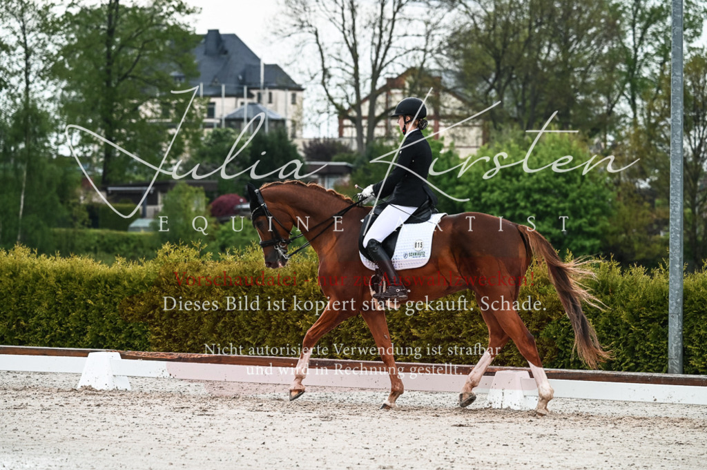 DSC_4272 | Pferde- und Turnierfotografie in Westsachsen. Pferdeportraits, Auftragszeichnungen und intuitive Kunst.