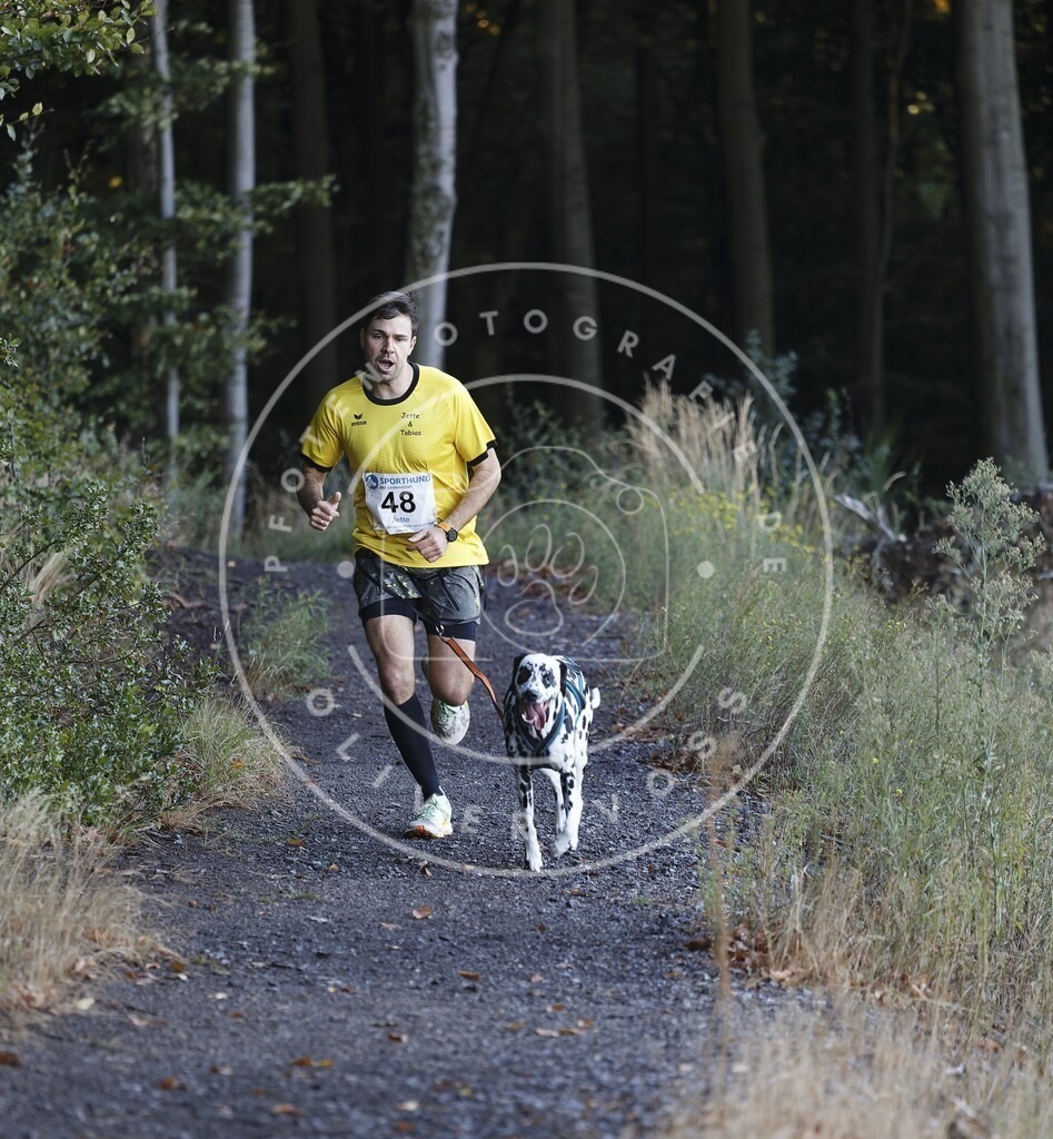 0L8A1759 | Hundefotografie, Tierfotograf, Pfotenfotografie, Fotoshooting Hund, Hunde Portrait, Hundesport, Hundeportraits, Heideshooting, Hunde, Sportfotograf, Hundefotograf, Turnierhundsport, THS,  - Realisiert mit Pictrs.com
