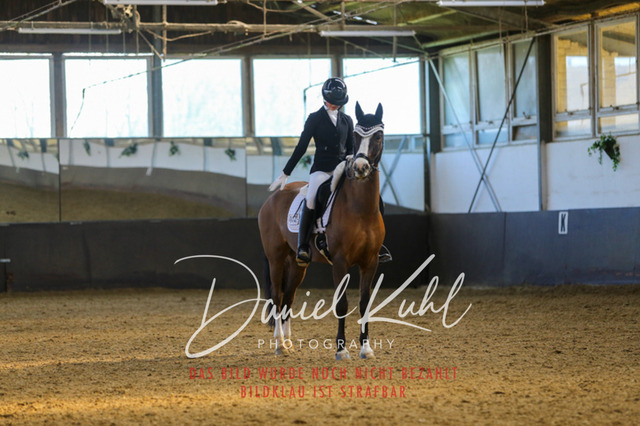 IMG_3094 | Turniersportfotografie; Pferdefotografie; Dressurfotografie