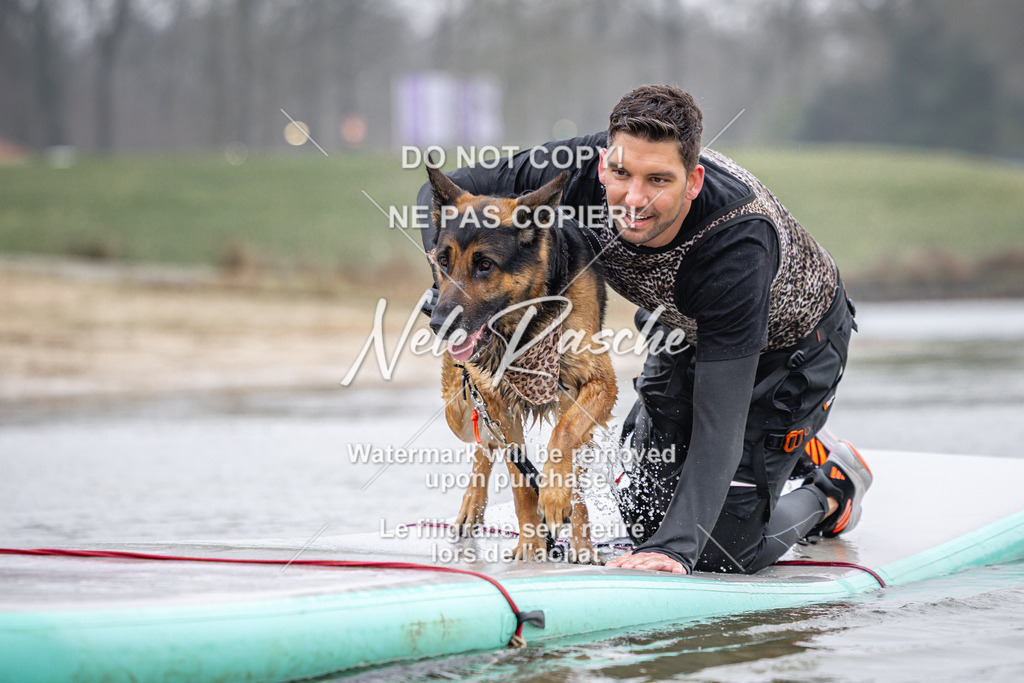 nelerasche_Hulsbeek_Sa1030-1100_526 | nelerasche