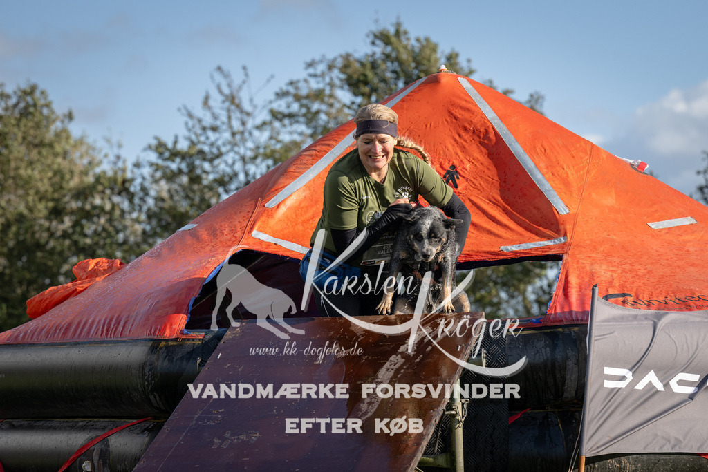 1434-94486 | kk-dogfotos