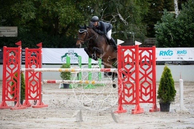 2B4A3441 | pixelfaenger - Realisiert mit Pictrs.com