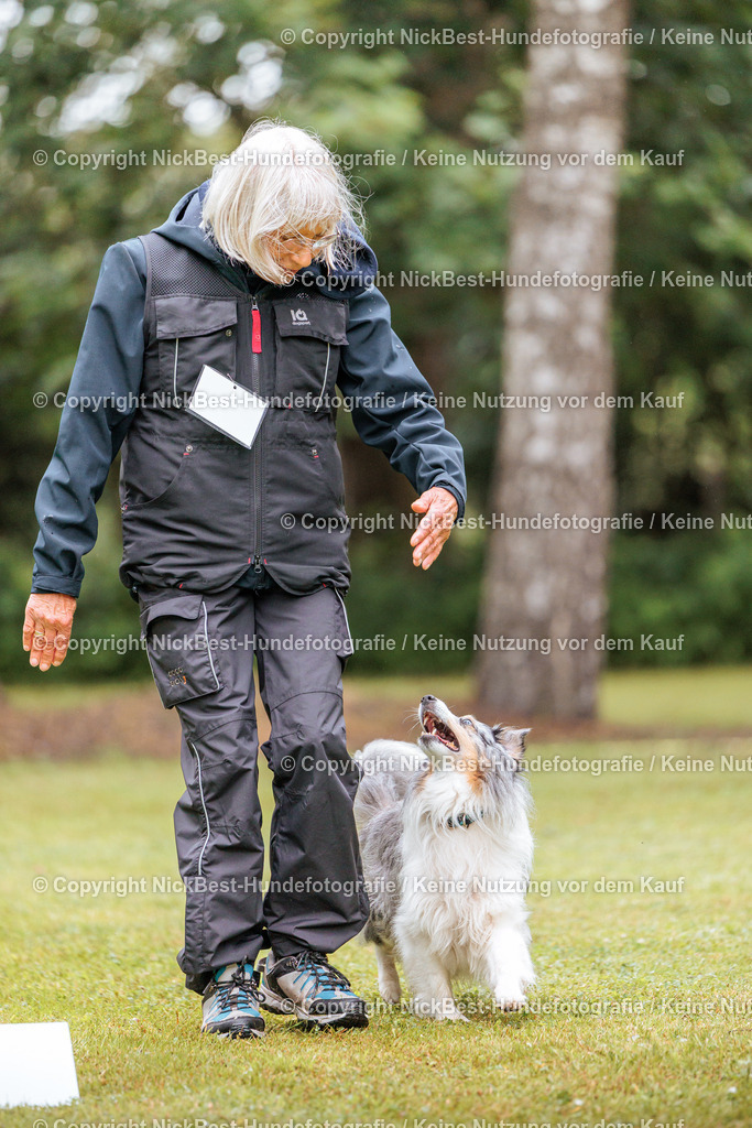 RO-Blumenthal-2026-Nickbest-Hundefotografie-0760 | Dein Hund! Dein Moment! Deine Erinnerungen! Hundefotografie in Bremen Blumenthal. Ich fange die besonderen Momente deines Vierbeiners ein – ob Indoor mit Blitzanlage oder in der freien Natur. Sicher dir dein Moment und dein Termin für eure Erinnerungen.