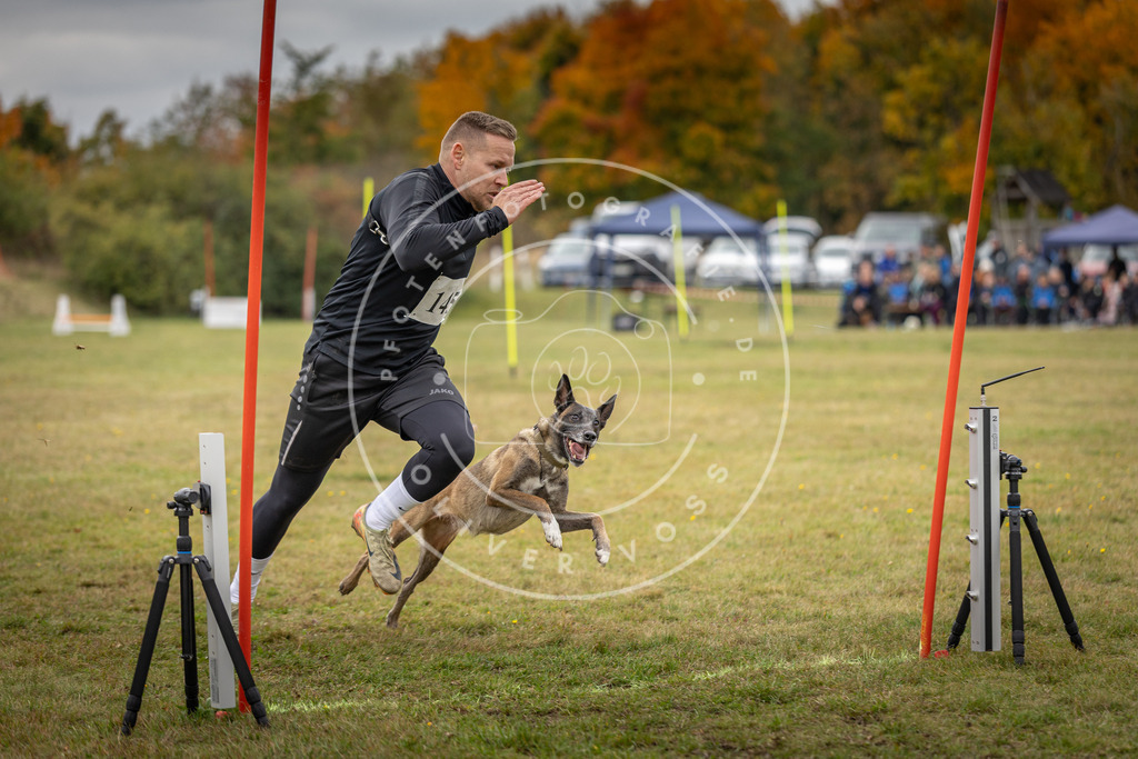Pfotenfotografie_DV3A8052 | Hundefotografie, Tierfotograf, Pfotenfotografie, Fotoshooting Hund, Hunde Portrait, Hundesport, Hundeportraits, Heideshooting, Hunde, Sportfotograf, Hundefotograf, Turnierhundsport, THS,  - Realisiert mit Pictrs.com