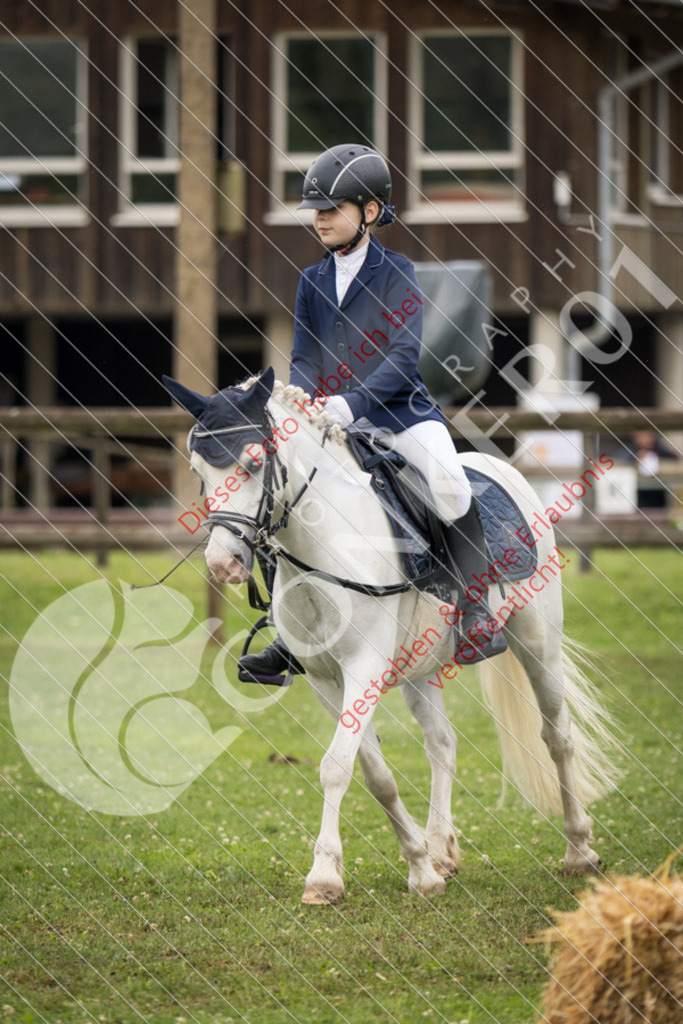 IMG_1950 | Sport-, Event- und Tierfotos in Profiqualität. Einfach auswählen, bestellen und herunterladen. Dein Moment – perfekt festgehalten.
