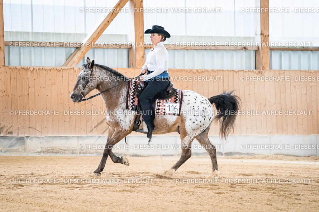 DSC01785 | Pferdegrafie