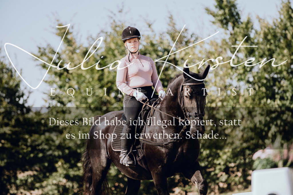 DSC_7027 | Pferde- und Turnierfotografie in Westsachsen. Pferdeportraits, Auftragszeichnungen und intuitive Kunst.