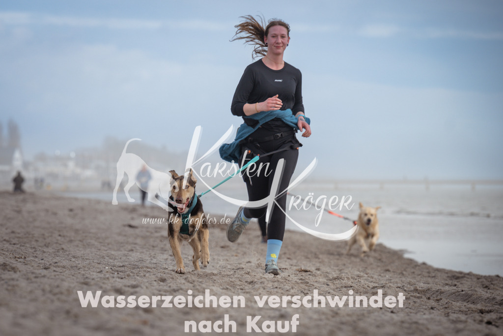 1211_ZZ94766 | kk-dogfotos