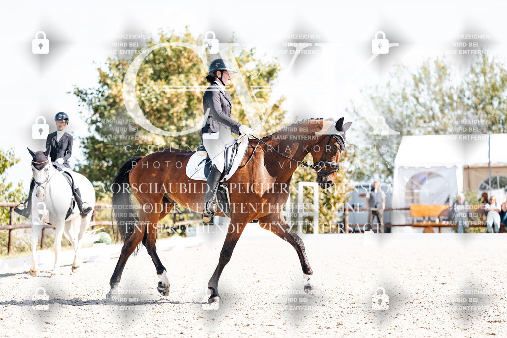 CK902932 | Turnierfotografie Pferdefotografie Trier Rheinland-Pfalz Pferdesport Reitsport Tierfotografie Sportfotografie Pferdevideo Pferdevideografie Equestrianvideography equestrianphotography  - Realisiert mit Pictrs.com