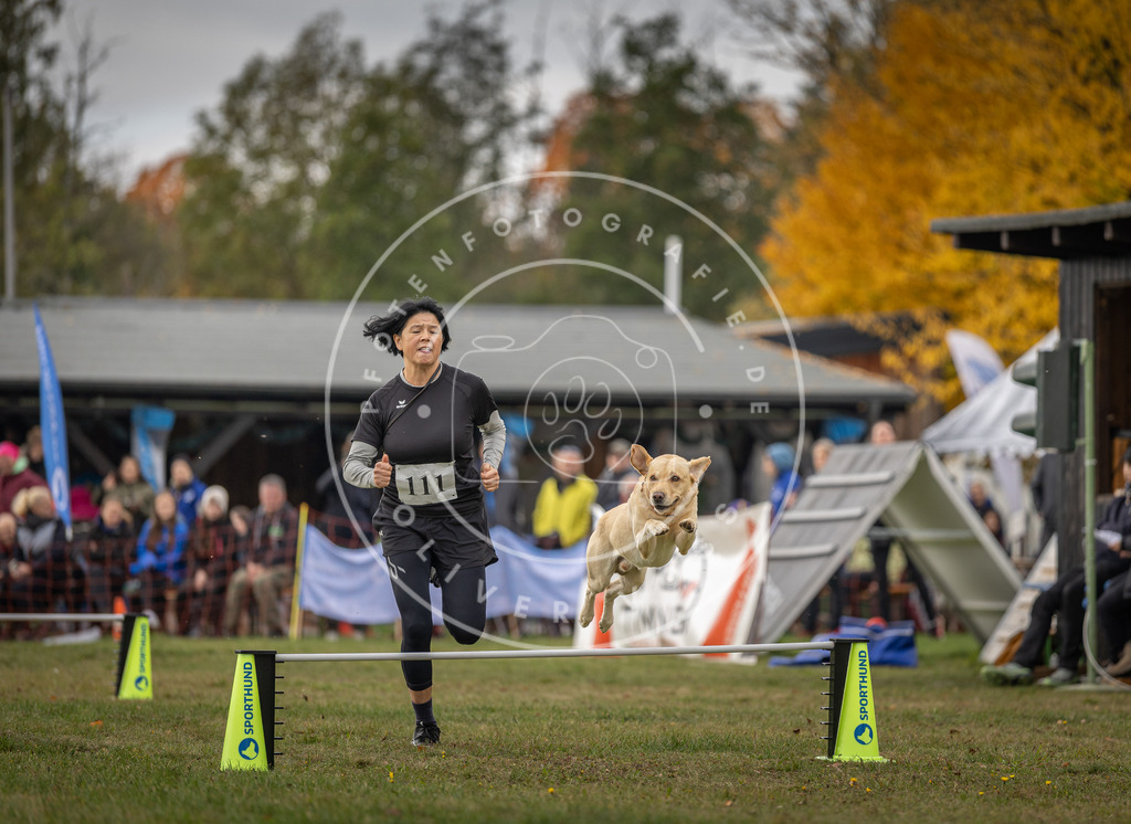 Pfotenfotografie_DV3A6778 | Hundefotografie, Tierfotograf, Pfotenfotografie, Fotoshooting Hund, Hunde Portrait, Hundesport, Hundeportraits, Heideshooting, Hunde, Sportfotograf, Hundefotograf, Turnierhundsport, THS,  - Realisiert mit Pictrs.com