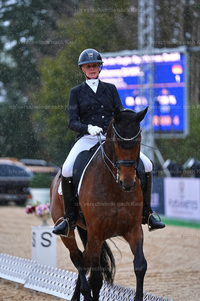 8_1-020-Klasse S_  -Marixx-4346 | working equitationturnier fotograf videograf stoibphotography marixx film working equitation deutschland reitsport turnierfotografie eventfotografie equestrian events