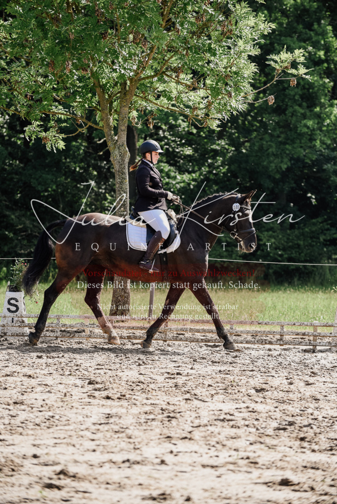DSC_0143 | Pferde- und Turnierfotografie in Westsachsen. Pferdeportraits, Auftragszeichnungen und intuitive Kunst.