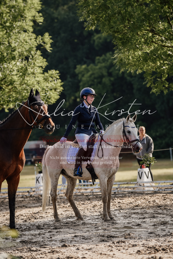 DSC_8070 | Pferde- und Turnierfotografie in Westsachsen. Pferdeportraits, Auftragszeichnungen und intuitive Kunst.