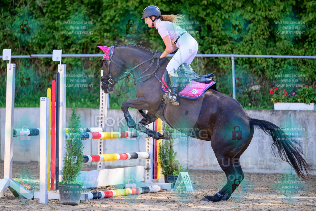 29082026-Giesenbach-Prfg10-0081 | Fokus Hufschlag Fotografie - Realisiert mit Pictrs.com