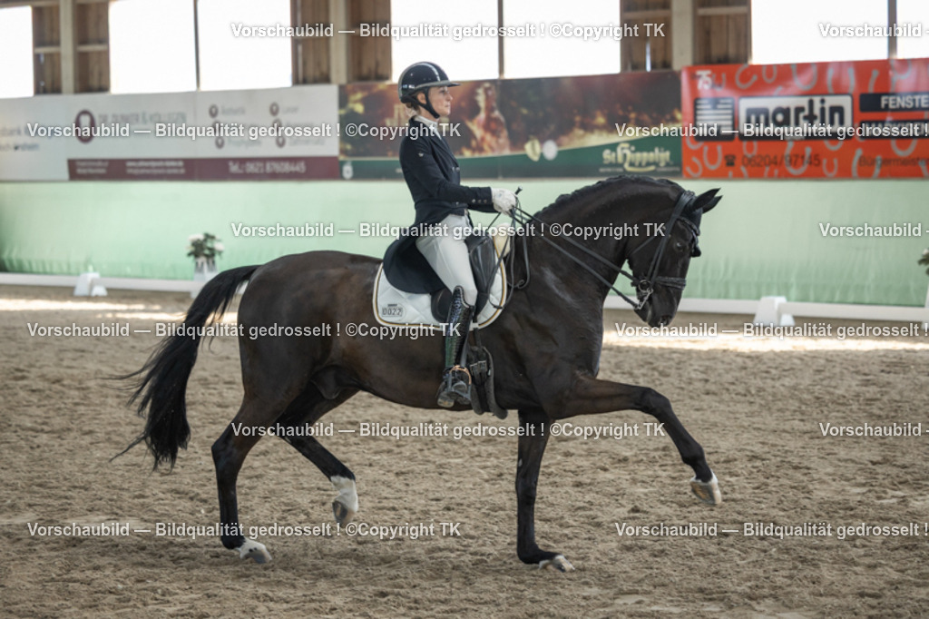 _D5A0286 | Emotionale Pferde- & People-Fotografie rund um Heidelberg, Leimen & Umgebung. Natürliche Fotos von Pferd, Mensch & Familie. Jetzt Termin sichern!