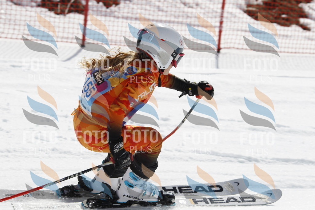 _U3G1331 | holidayphoto