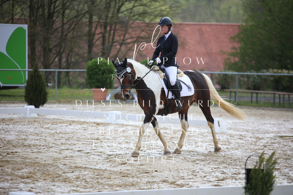 IMGT3553 | pl-fotografie