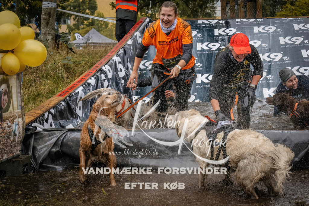 1213_ZZ94785 | kk-dogfotos