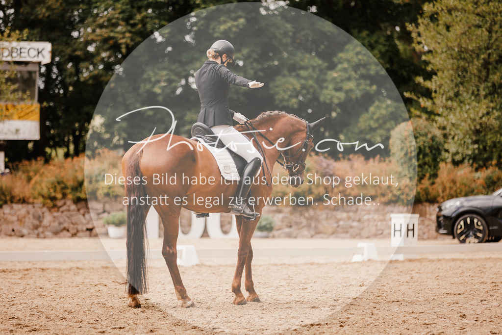 3I6A6196 | Stimmungsvolle Portraits und Reitsportfotografie im Ruhrgebiet und im Münsterland.

Pferdefotografie, Hundefotografie, Tierfotografie, Reportagen, Portraits von Tier und Mensch, Turnierfotografie in Bochum, Recklinghausen, Marl, Haltern am See, Dülmen.. - Realisiert mit Pictrs.com