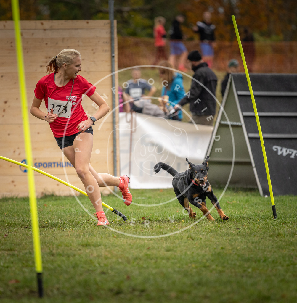 Pfotenfotografie_DV3A9832 | Hundefotografie, Tierfotograf, Pfotenfotografie, Fotoshooting Hund, Hunde Portrait, Hundesport, Hundeportraits, Heideshooting, Hunde, Sportfotograf, Hundefotograf, Turnierhundsport, THS,  - Realisiert mit Pictrs.com