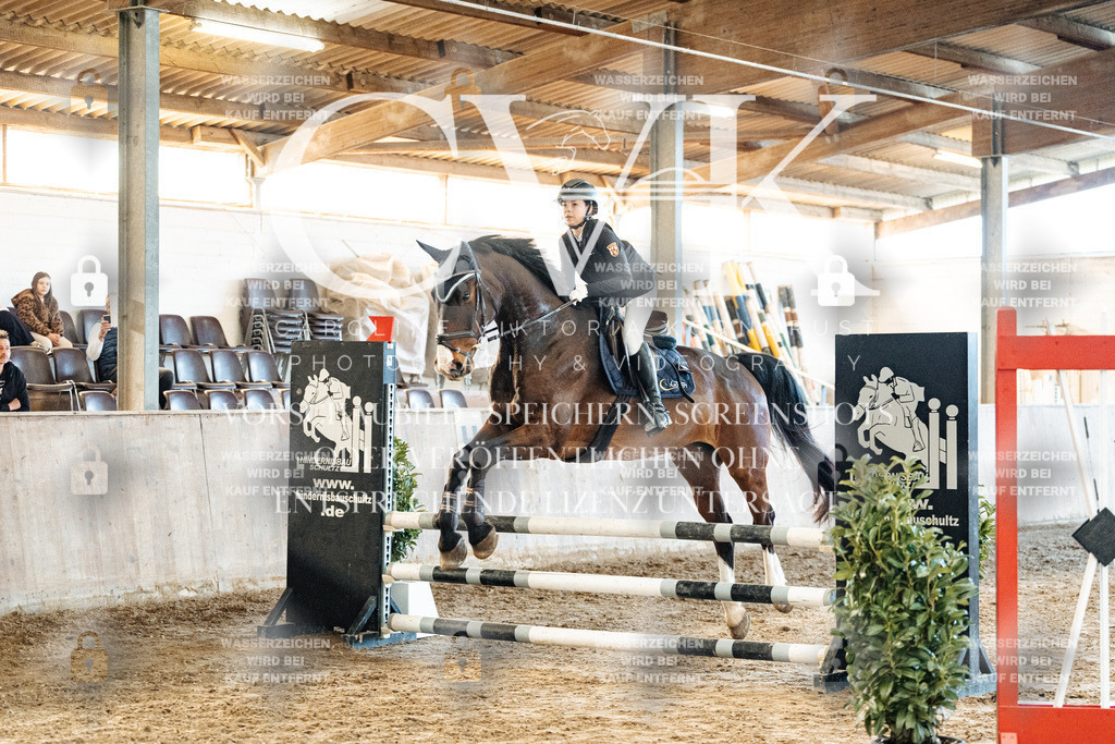 CK904425 | Turnierfotografie Pferdefotografie Trier Rheinland-Pfalz Pferdesport Reitsport Tierfotografie Sportfotografie Pferdevideo Pferdevideografie Equestrianvideography equestrianphotography  - Realisiert mit Pictrs.com