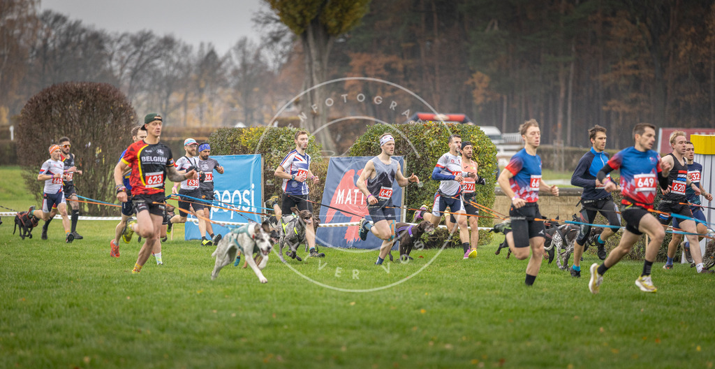 CaniXpix_DV3A9467 | Hundefotografie, Tierfotograf, Pfotenfotografie, Fotoshooting Hund, Hunde Portrait, Hundesport, Hundeportraits, Heideshooting, Hunde, Sportfotograf, Hundefotograf, Turnierhundsport, THS,  - Realisiert mit Pictrs.com