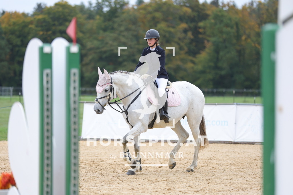 0P6A1300 | Willkommen bei Brunnmayr - Design & Fotografie – Ihrem Spezialisten für Reitturniere und Pferdeveranstaltungen in Oberösterreich, Salzburg und Bayern! Seit über 17 Jahren sind wir leidenschaftlich dabei.
