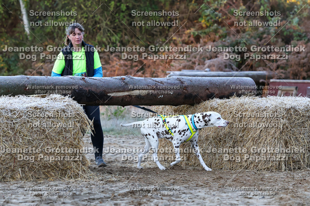 Dog Paparazzi - Strongdog 10-25-300 | Dog Paparazzi Jeanette Grottendiek Fotografie & Videografie - Realisiert mit Pictrs.com