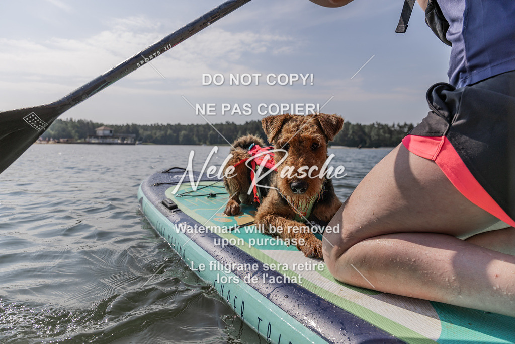 BUHU_SUP_344 | nelerasche