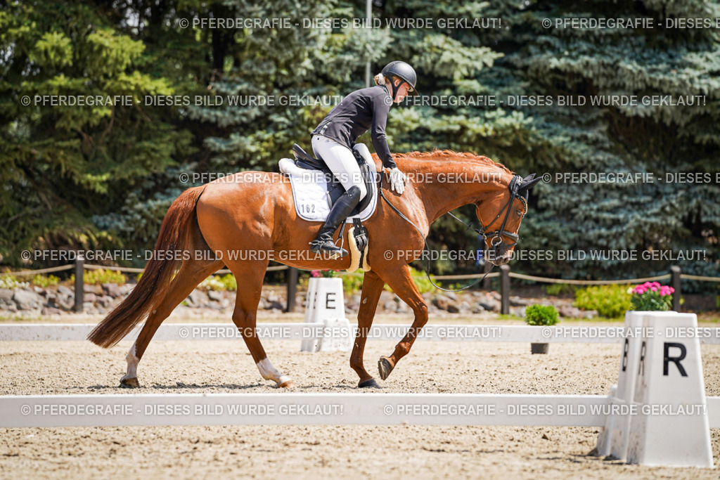 DSC00914 | Pferdegrafie