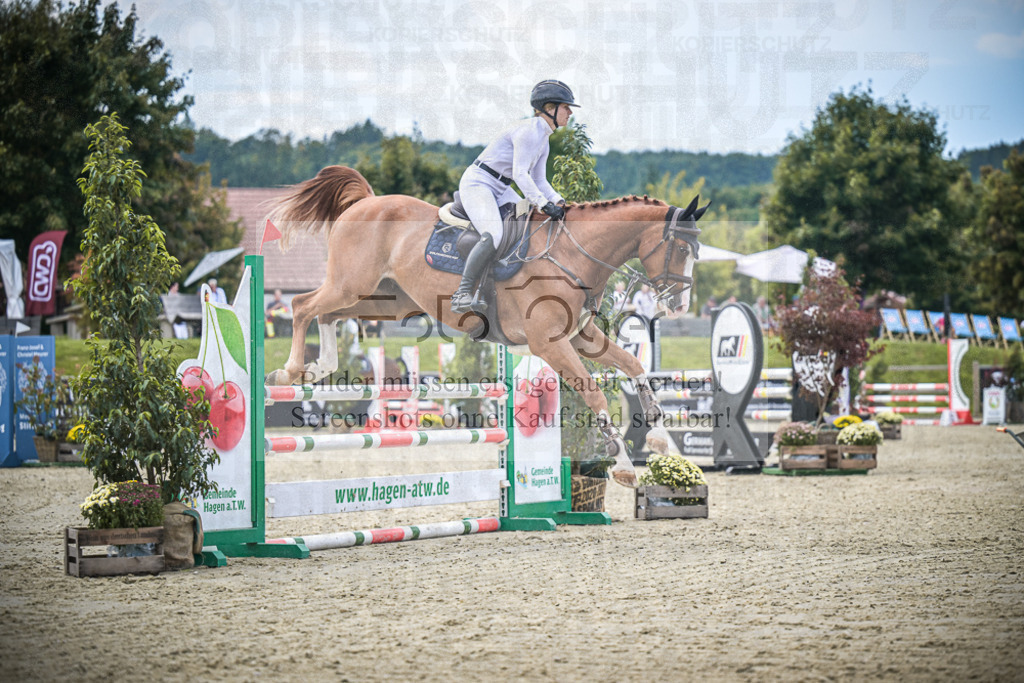 DOS_5488 | Entdecke hochwertige Reitturnierfotos von Foto Oger. Professionell, emotional und authentisch – jetzt Lieblingsmomente im Shop bestellen.Deutschlandweite Turnierfotografie. - Realisiert mit Pictrs.com