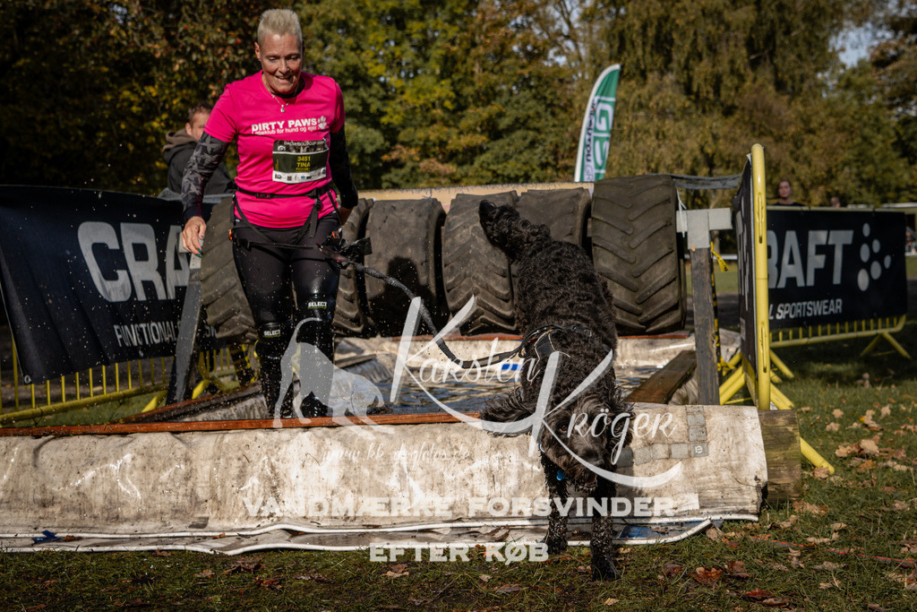 1347_ZZ93065 | kk-dogfotos