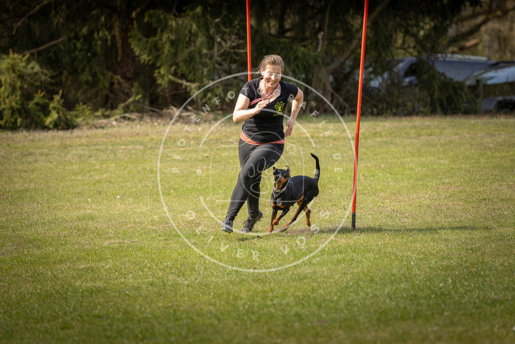 Pfotenfotografie_DV3A9927 | Hundefotografie, Tierfotograf, Pfotenfotografie, Fotoshooting Hund, Hunde Portrait, Hundesport, Hundeportraits, Heideshooting, Hunde, Sportfotograf, Hundefotograf, Turnierhundsport, THS,  - Realisiert mit Pictrs.com