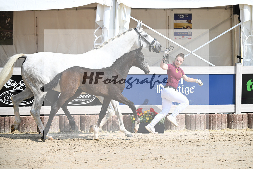 Esperanto x Boss Hoss_SF_Kraft_12250250 | hf-fotografie - Realisiert mit Pictrs.com