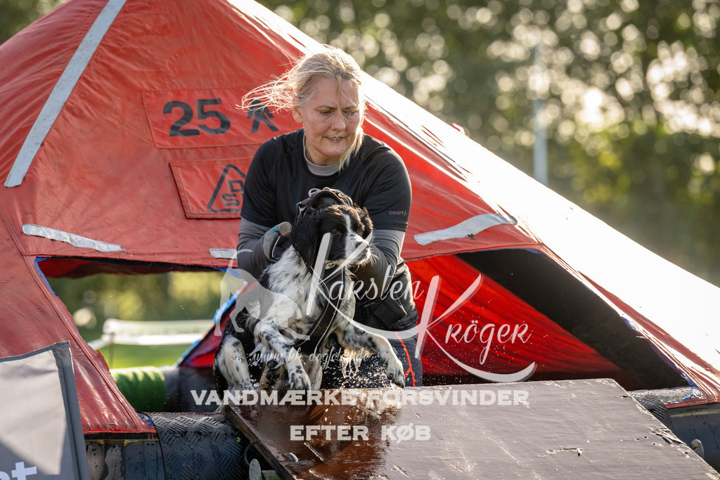 1113-91841 | kk-dogfotos