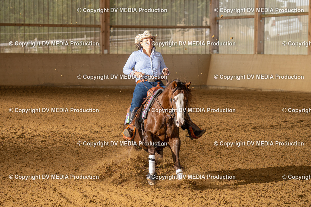 LAU01442 | dv-media-shop - Realisiert mit Pictrs.com