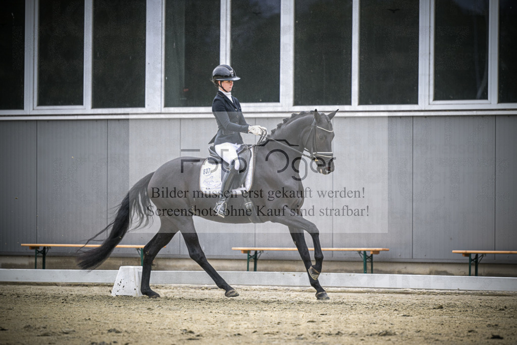 DOS_0740 | Entdecke hochwertige Reitturnierfotos von Foto Oger. Professionell, emotional und authentisch – jetzt Lieblingsmomente im Shop bestellen.Deutschlandweite Turnierfotografie. - Realisiert mit Pictrs.com